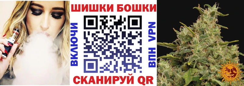 Купить где  Лакинск  Конопля индика 